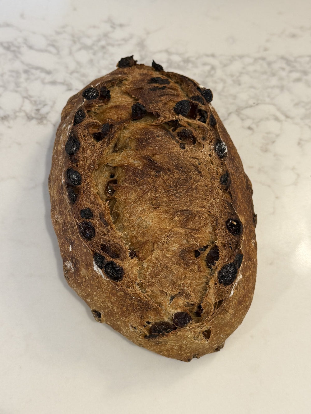 A Le 76 raisin loaf, studded with raisins through an enriched dough