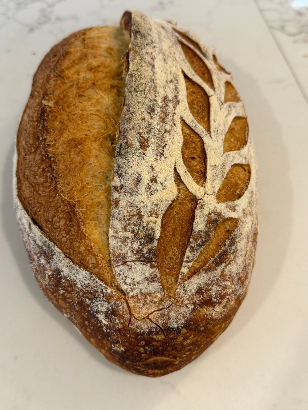 A Le 76 white sourdough loaf, scored in a leaf pattern and baked dark